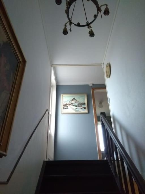 Appartement Joey'S à Skjervoy Extérieur photo