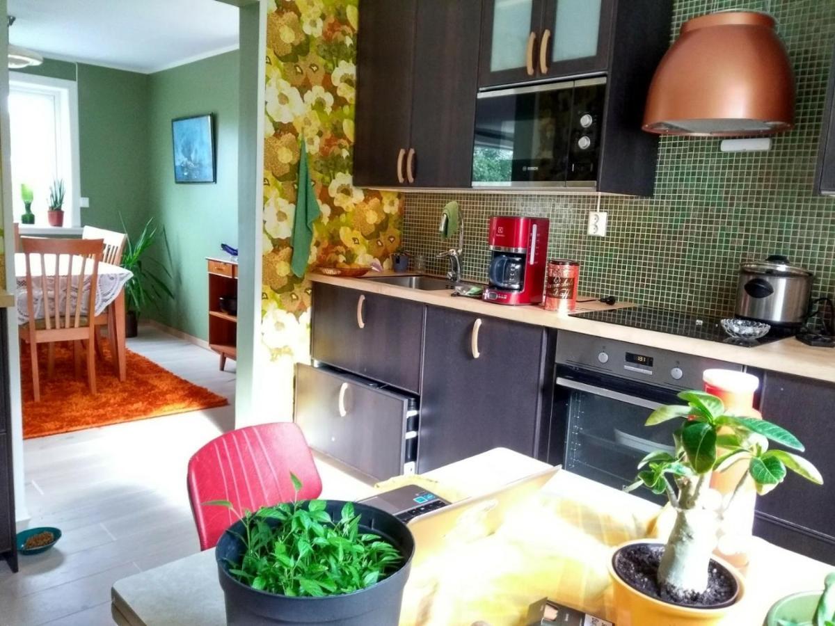 Appartement Joey'S à Skjervoy Extérieur photo
